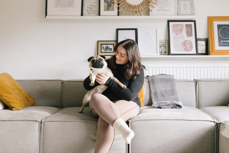The Dog House: 5 Pet Friendly Interior Tips